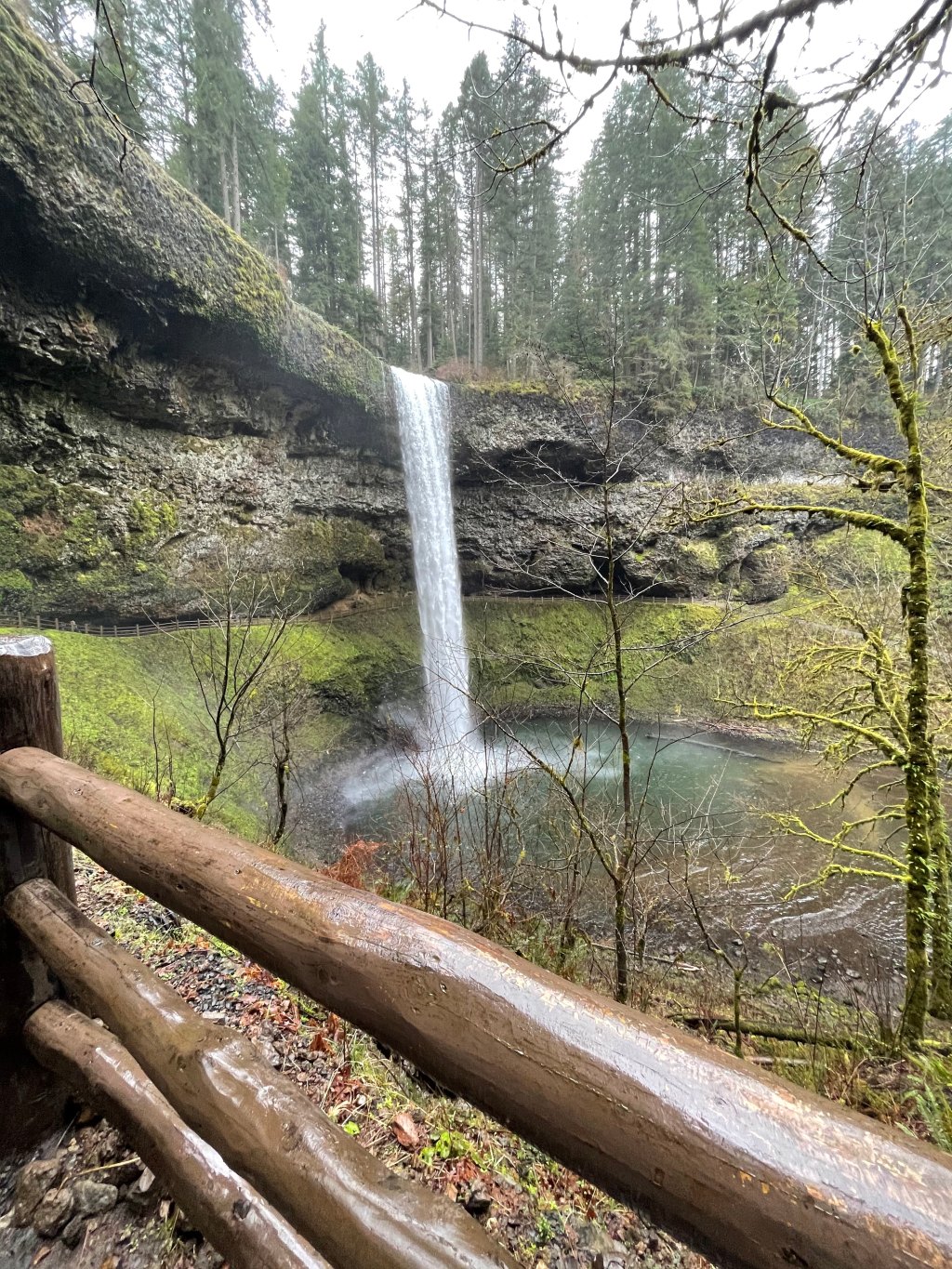 7 Hikes Within 90 Minutes of Portland