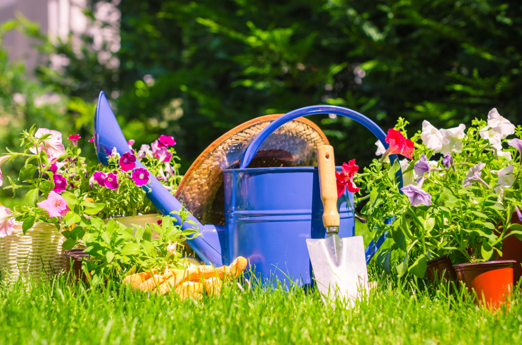 5 Sustainable Upgrades for Your&nbsp;Yard