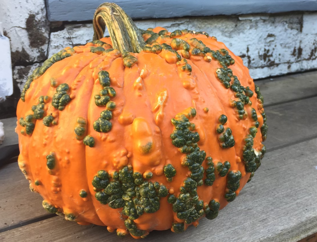 5 Best Fall Activities in&nbsp;PDX